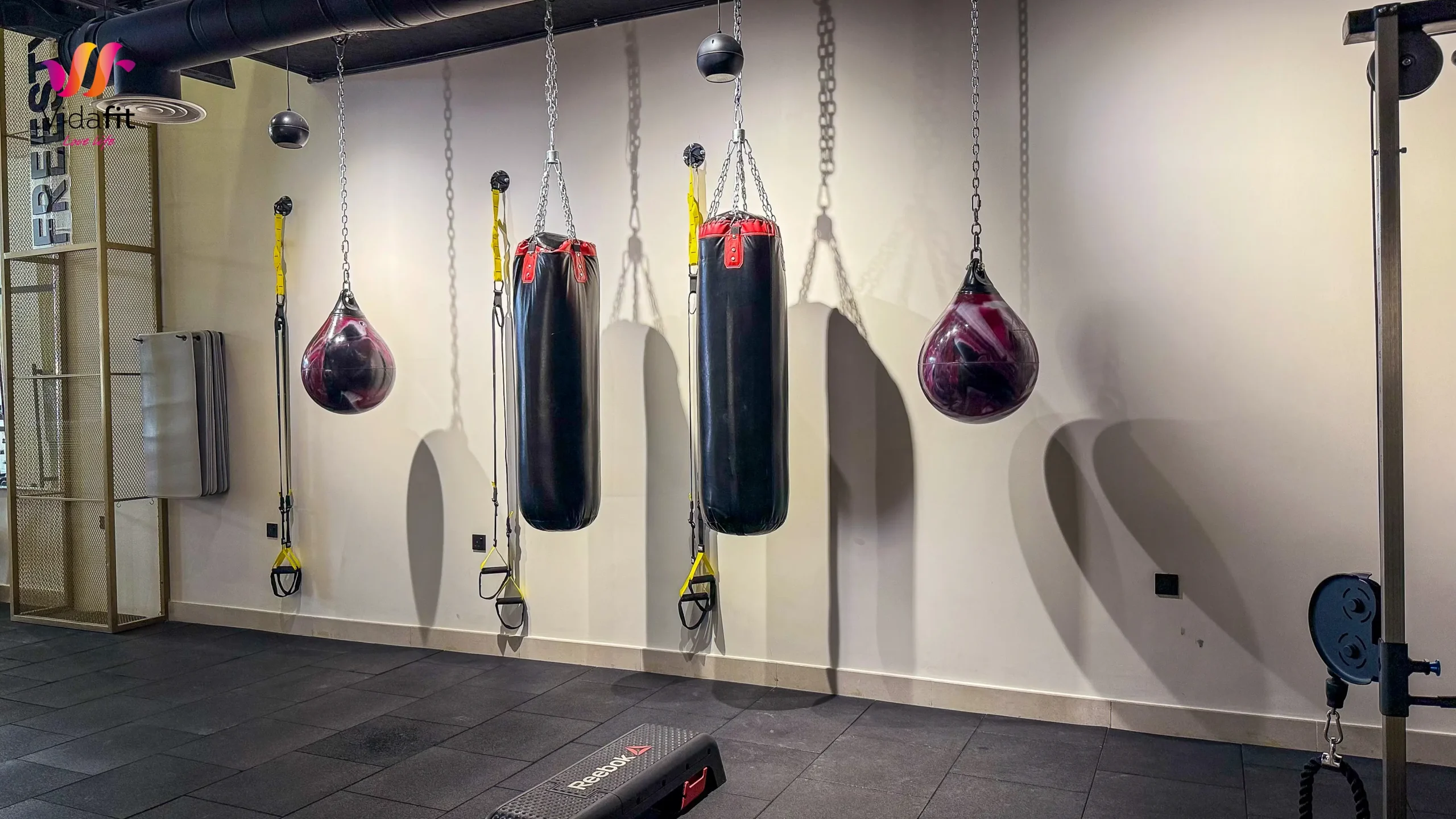 Photo 19-03-2025, 2 58 48 PM-2